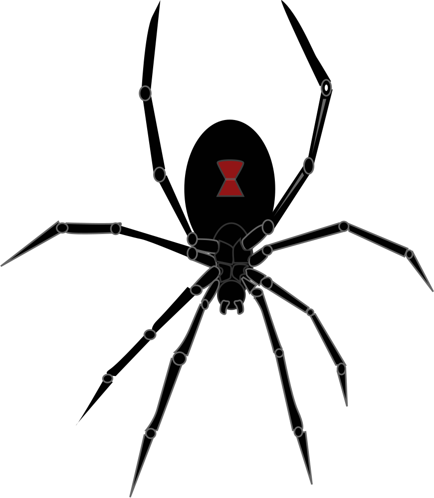 OnlineLabels Clip Art - Black Widow Spider